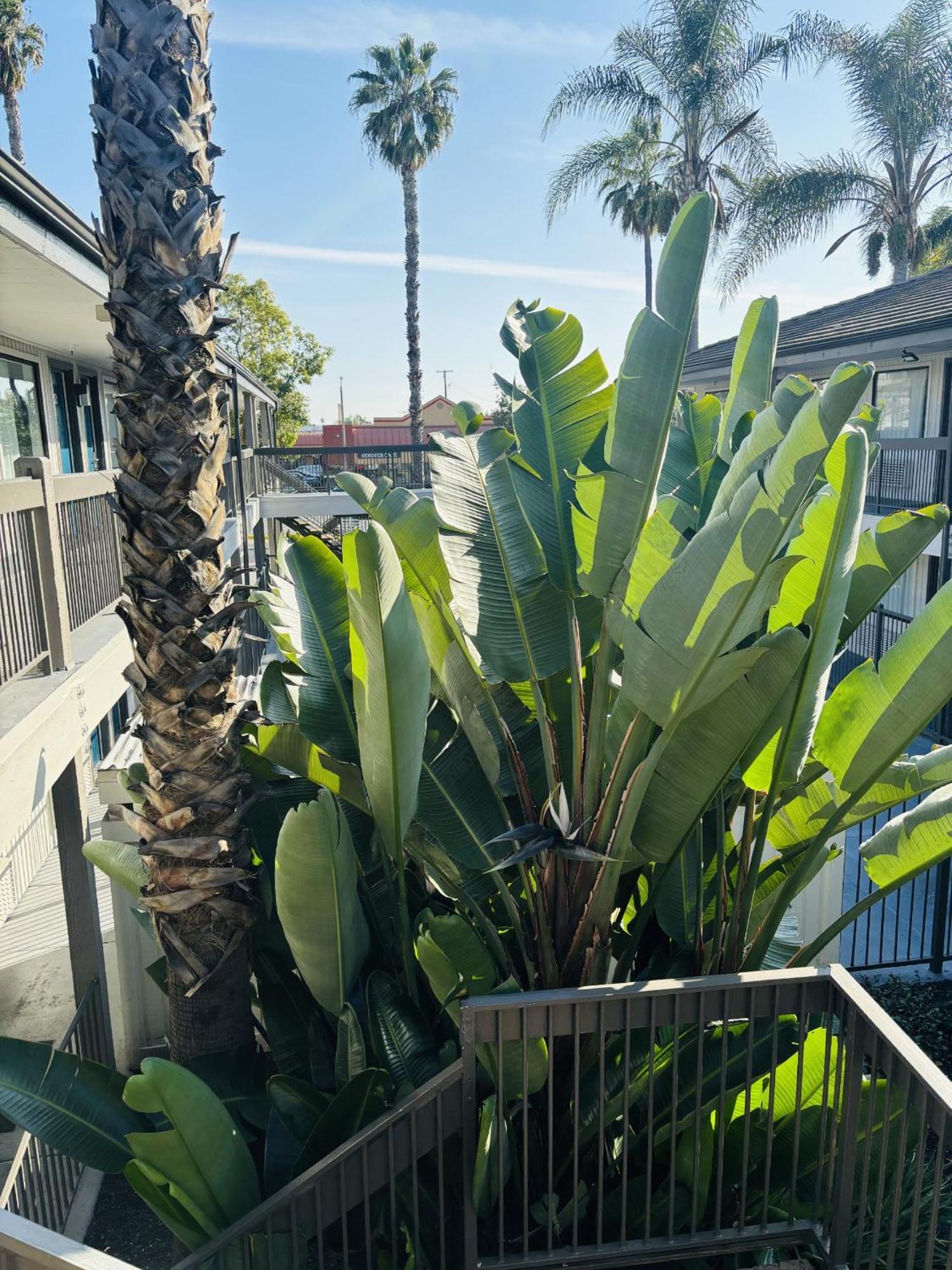 Motel 6-Santa Ana, Ca Exterior foto